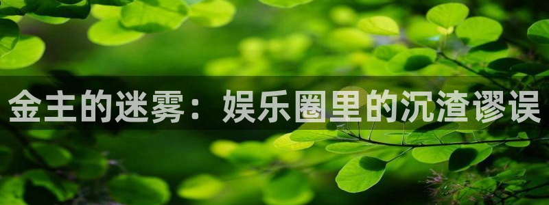 超凡国际官网：金主的迷雾：娱乐圈里的沉渣谬误