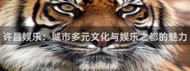 超凡国际下载：许昌娱乐：城市多元文化与娱乐之都的魅力
