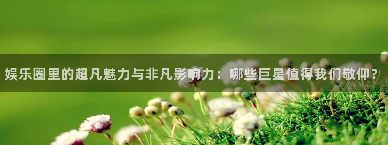 超凡国际：娱乐圈里的超凡魅力与非凡影响力：哪些巨星值得我们敬仰？