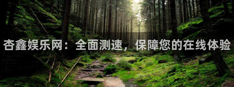 超凡国际下载app：杏鑫娱乐网：全面测速，保障您的在线体验