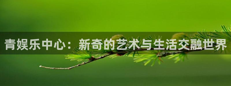 超凡国际：青娱乐中心：新奇的艺术与生活交融世界