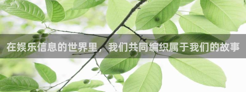 超凡国际pg电子游戏官网：在娱乐信息的世界里，我们共同编织属于我们的故事